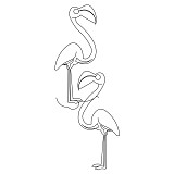 flamingo row pano 001